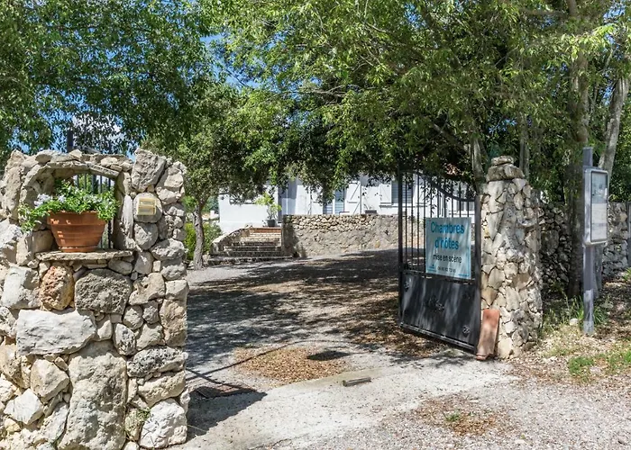 Bed and Breakfast Mise En Scene Aumelas